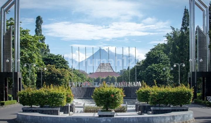 Land in Jogja Sleman near a famous campus, rice field view. Land in Jogja Sleman near a famous campus, rice field view.