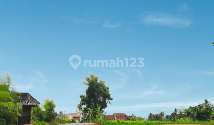 Tanah Jogja Tepi Jalan Raya Area UII, Nyaman Huni dan Asri