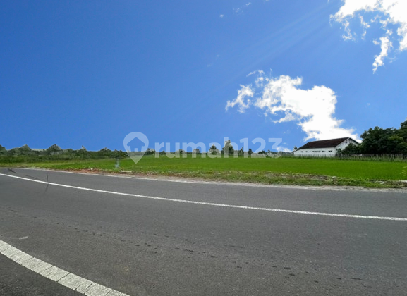Tanah Jogja Tepi Jalan Area Kampus UMY, View Sawah