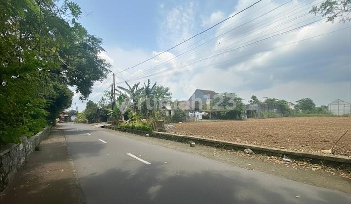 Land in Jogja Sleman near a famous campus, rice field view. Land in Jogja Sleman near a famous campus, rice field view.