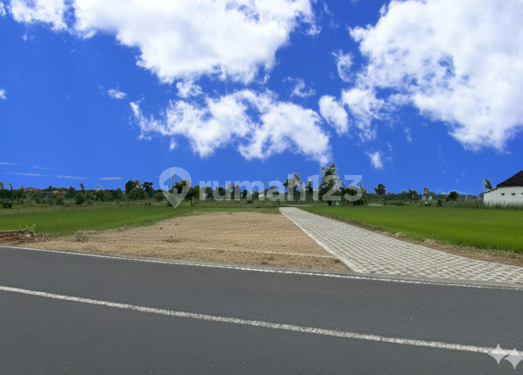 Tanah Jogja Dekat Kota, Akses Jalan Sangat Lebar Dan View Sawah