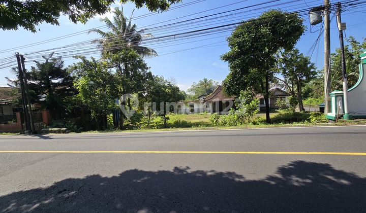 Tanah Strategis Jogja, Hanya 4 Menit Raminten, SHM Pekarangan Tanah Strategis Jogja, Hanya 4 Menit Raminten, SHM Pekarangan
