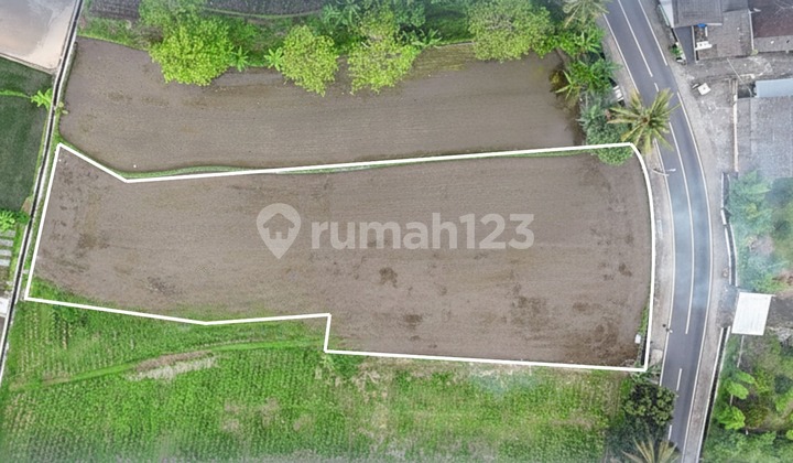Tanah Premium Jogja, 5 Menit Kampus Uii, Tepi Jalan Raya Tanah Premium Jogja, 5 Menit Kampus Uii, Tepi Jalan Raya