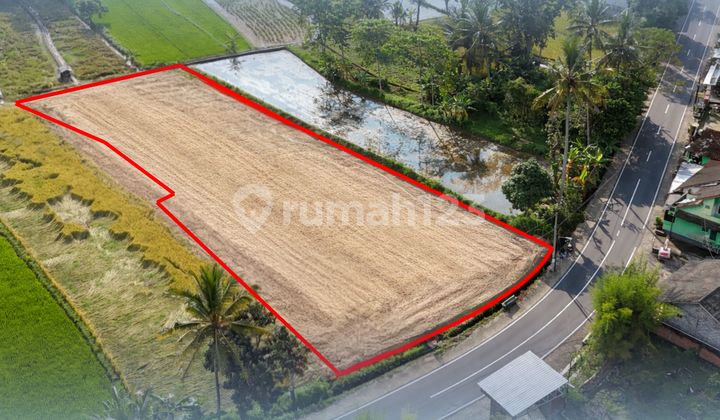 Tanah Strategis Jogja, Cocok Bangun Villa, View Sawah & Merapi Tanah Strategis Jogja, Cocok Bangun Villa, View Sawah & Merapi