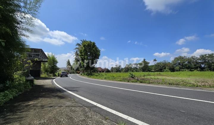 Tanah Strategis Jogja, Cocok Bangun Villa, View Sawah & Merapi Tanah Strategis Jogja, Cocok Bangun Villa, View Sawah & Merapi