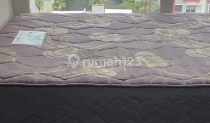 Cheapest For Rent Studio Scientia Cheapest For Rent Studio Scientia