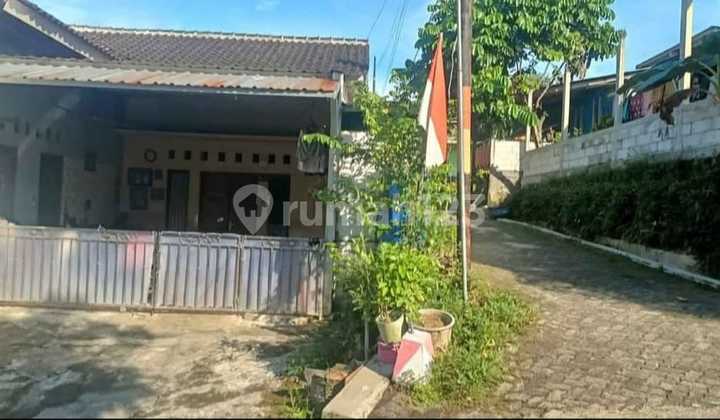 Rumah Kost Putra Full Penghuni Dewi Sartika Barat Gunungpati Semarang 1