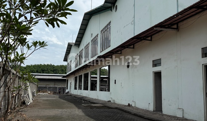 Warehouse for Rent in Rungkut Industrial Area, Ready to Use, Surabaya