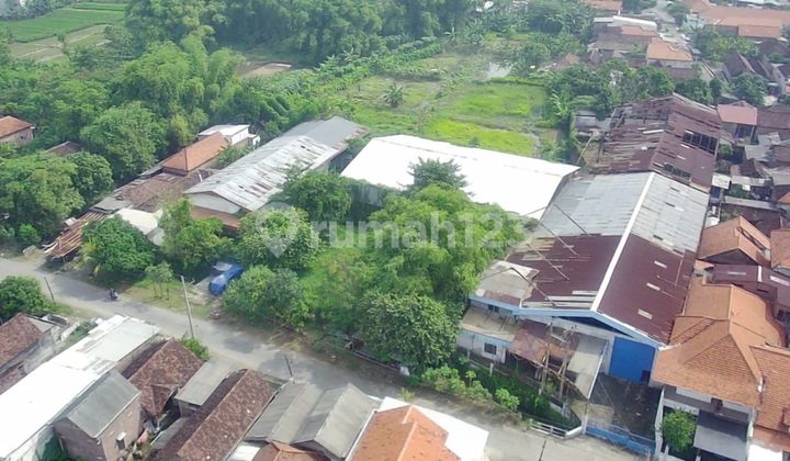 Dijual Tanah Bonus Gudang Driyorejo Gresik Dijual Tanah Bonus Gudang Driyorejo Gresik