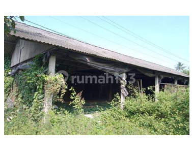 Gudang dan Kandang Ayam Luas dan Murah di Kawasan Jerukagung dekat dengan Jalan Raya Magelang-Yogyakarta