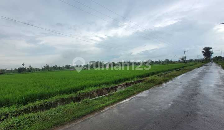 Tanah Strategis dan Murah Dekat dengan Kampus C - Iik Nu Tuban