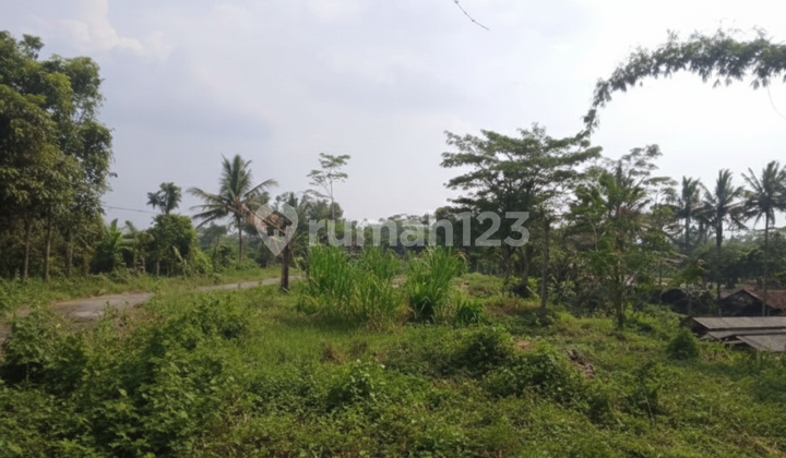 Tanah Luas dan Murah di Kawasan Sudimoro dekat dengan Jalan Raya Magelang-Yogyakarta Tanah Luas dan Murah di Kawasan Sudimoro dekat dengan Jalan Raya Magelang-Yogyakarta
