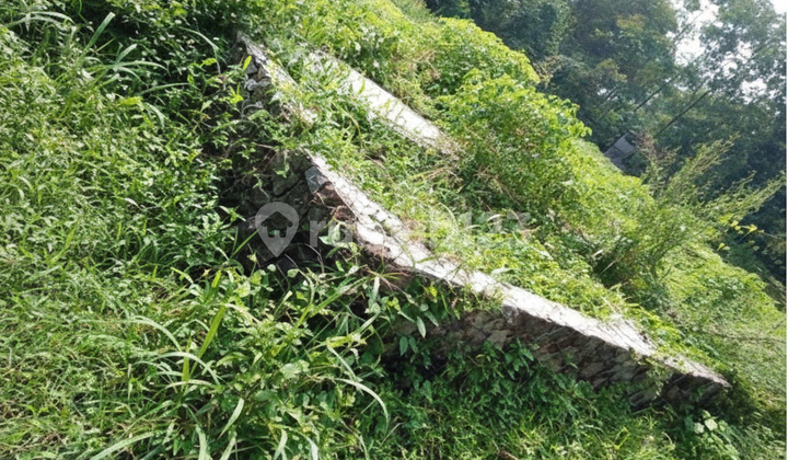 Tanah Luas dan Murah dekat dengan Tempat Wisata Tanah Luas dan Murah dekat dengan Tempat Wisata