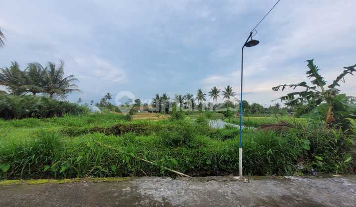 Tanah Luas dan Murah di Kawasan Sudimoro, Magelang dekat dengan Jalan Raya Magelang-Yogyakarta Tanah Luas dan Murah di Kawasan Sudimoro, Magelang dekat dengan Jalan Raya Magelang-Yogyakarta