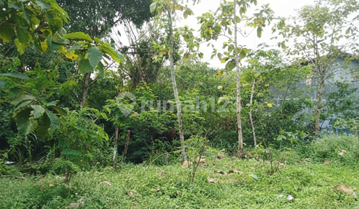Tanah Luas dan Murah dekat dengan Jalan Raya Magelang-Yogyakarta Tanah Luas dan Murah dekat dengan Jalan Raya Magelang-Yogyakarta