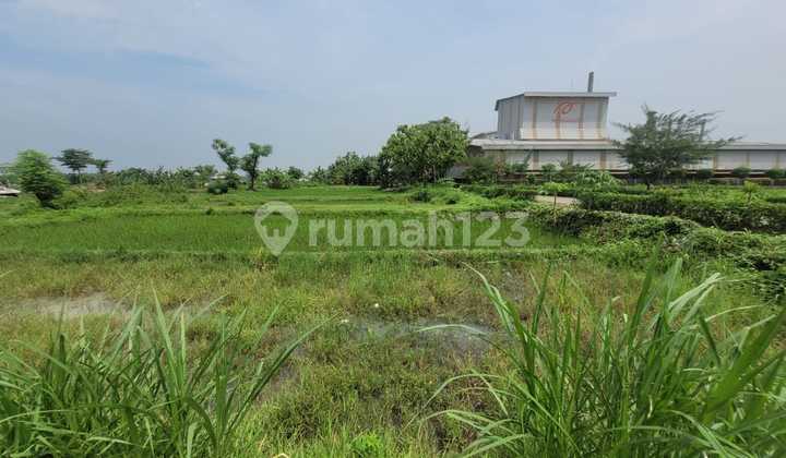 Strategic and Affordable Land Near Gelora Gajah Mada Stadium Strategic and Affordable Land Near Gelora Gajah Mada Stadium
