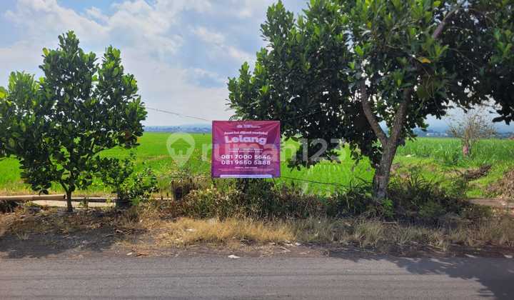 Tanah Sawah Strategis dan Luas di Kawasan Pakisaji, Malang Dekat dengan Stasiun Kepanjen