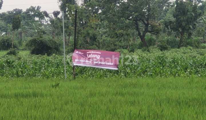 Tanah Strategis dan Murah Dekat dengan Kampus C - Iik Nu Tuban