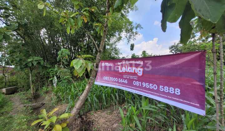 Tanah Strategis dan Murah Dekat dengan Air Terjun Nglirip Tanah Strategis dan Murah Dekat dengan Air Terjun Nglirip