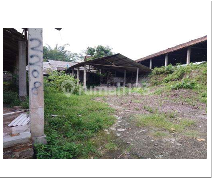 Spacious and Cheap Chicken Coop near Magelang-Yogyakarta Main Road Spacious and Cheap Chicken Coop near Magelang-Yogyakarta Main Road