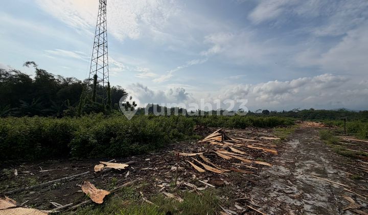 Tanah dan Bangunan Luas dan Murah dekat dengan Candi Borobudur