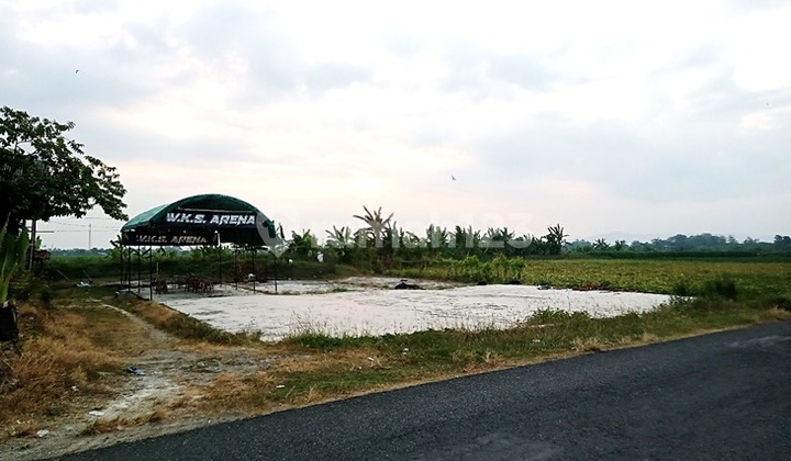 Large and Affordable Land in Bogotanjung Area, Pati Large and Affordable Land in Bogotanjung Area, Pati