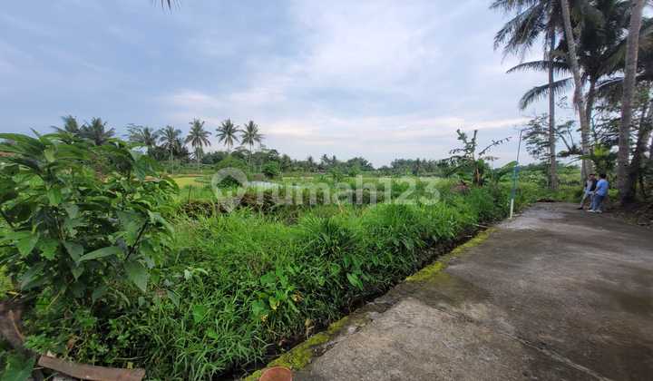 Tanah Luas dan Murah di Kawasan Sudimoro, Magelang dekat dengan Jalan Raya Magelang-Yogyakarta