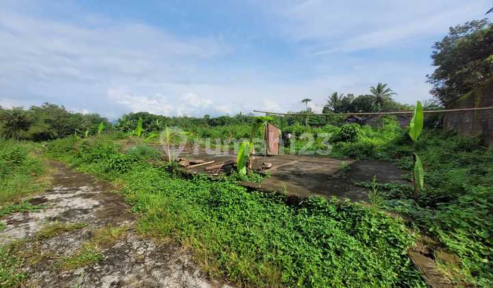 Large and Affordable Land in Sidoagung Area, Magelang near Borobudur Temple Large and Affordable Land in Sidoagung Area, Magelang near Borobudur Temple