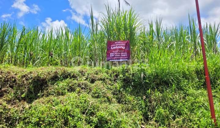 Large and Strategic Land in Tumpang Area, Malang, Near Bromo Transit Park Tumpang