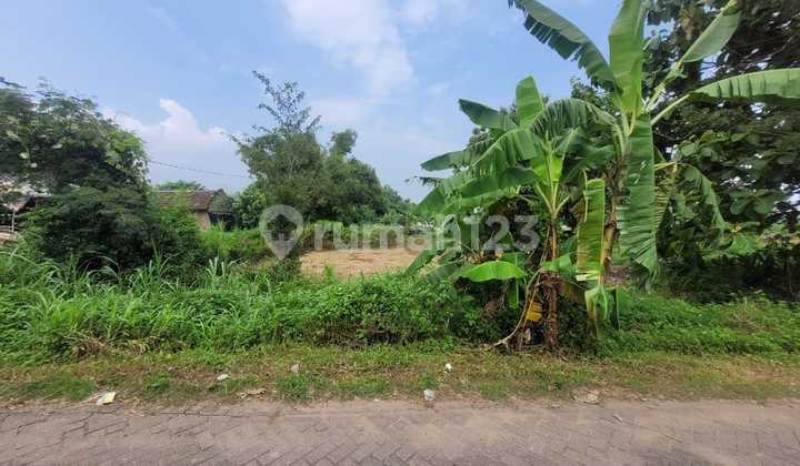 Large and Affordable Land Near Gelora Gajah Mada Stadium Large and Affordable Land Near Gelora Gajah Mada Stadium