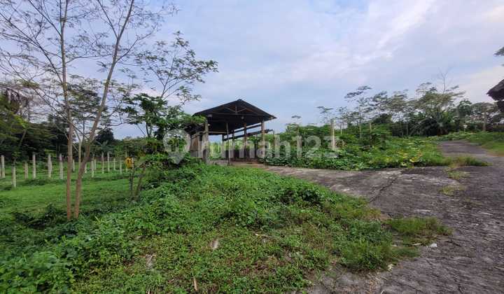 Tanah Luas dan Murah di Kawasan Sudimoro, Magelang dekat dengan Jalan Raya Magelang-Yogyakarta Tanah Luas dan Murah di Kawasan Sudimoro, Magelang dekat dengan Jalan Raya Magelang-Yogyakarta