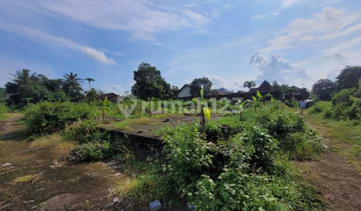 Large and Affordable Land in Sidoagung Area, Magelang near Borobudur Temple Large and Affordable Land in Sidoagung Area, Magelang near Borobudur Temple