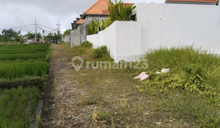 Tanah Premium Pantai Seseh Siap Bangun Zona Pink Pariwisata