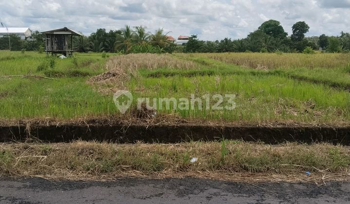 Tanah Pinggir Jalan Mengwi Tanah Pinggir Jalan Mengwi