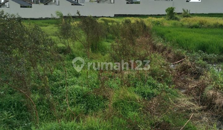Premium Land Villa Ready to Build, Seseh Beach Premium Land Villa Ready to Build, Seseh Beach