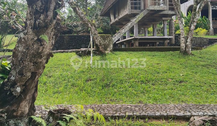 Villa View Sungai Penatahan Tabanan Bali SHM House at the Penatahan Village Office, Penebel, Tabanan, Bali, Tabanan, Penebel, Penatahan, Bali, 82152, Penatahan