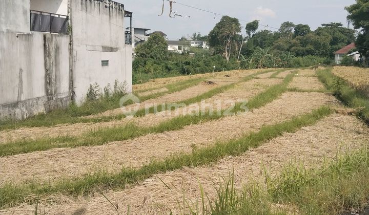 Tanah Sawah Pererenan Tanah Sawah Pererenan