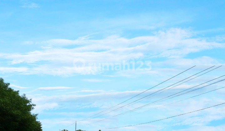 Tanah Premium Jogja, Hanya 5 Jutaan, bisa, Dekat Kampus Ugm Tanah Premium Jogja, Hanya 5 Jutaan, bisa, Dekat Kampus Ugm