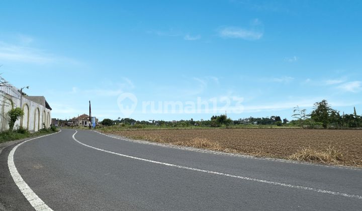 Land Near Jogja City, 10 Minutes to Malioboro, Freehold Title Land Near Jogja City, 10 Minutes to Malioboro, Freehold Title