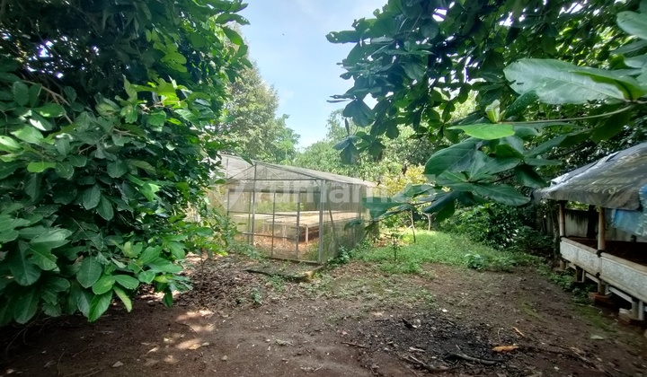 Tanah Strategis Area Serpong Hanya 3,6 Jt-an Per M Tanah Strategis Area Serpong Hanya 3,6 Jt-an Per M