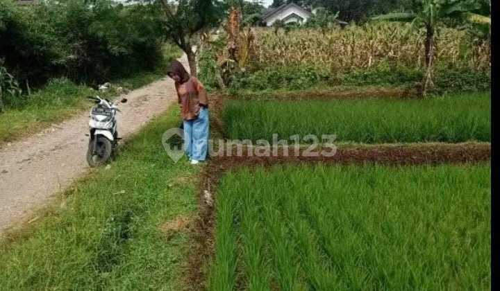 Dijual Tanah di Komplek Gkpn - Jatinangor Dekat Unpad, Ikopin & Itb, Cocok untuk Kosan/Tempat Tinggal