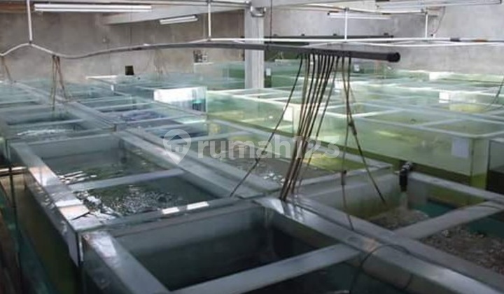 Dijual Rumah Ternak Ikan Kopo Katapang Bandung Lokasi Strategis dan Akses Mudah