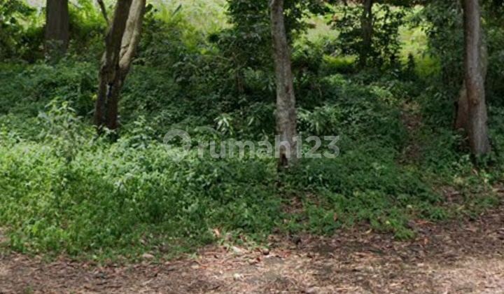 Dijual Tanah Sentul Bogor Jawa Barat