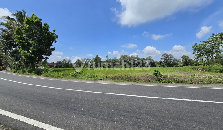 Tanah Strategis Yogyakarta, 5 Menit Bri University Tanah Strategis Yogyakarta, 5 Menit Bri University
