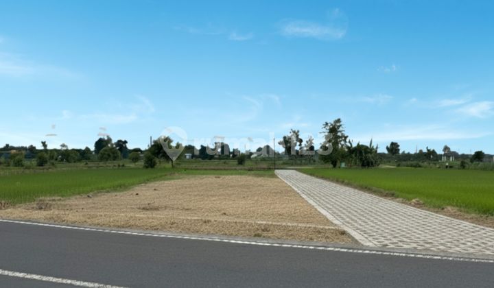 Cheap Land in Gamping, By the Main Road