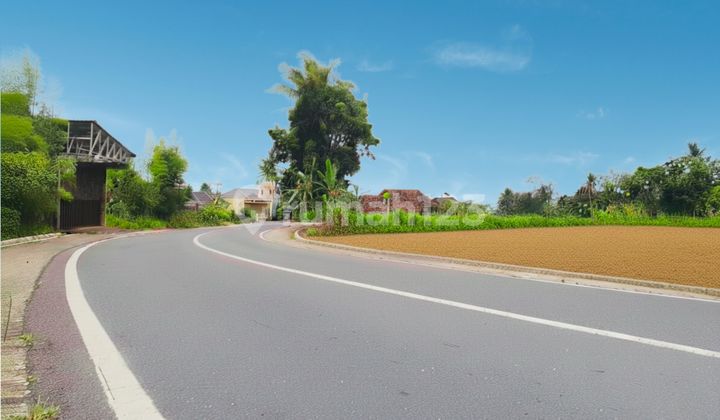 Tanah Dijual Sleman, Dekat Kampus Uii, Tepi Jalan Raya Tanah Dijual Sleman, Dekat Kampus Uii, Tepi Jalan Raya