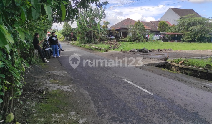 Tanah Kavling Jogja, Utara Kampus Ugm, SHM Pekarangan