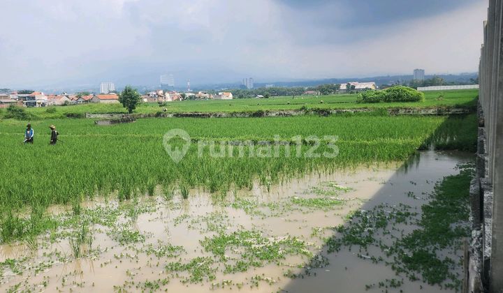 Dijual Tanah Sawah di Jalan Nasional