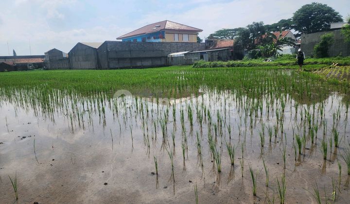 Dijual Tanah Dijalan Propinsi