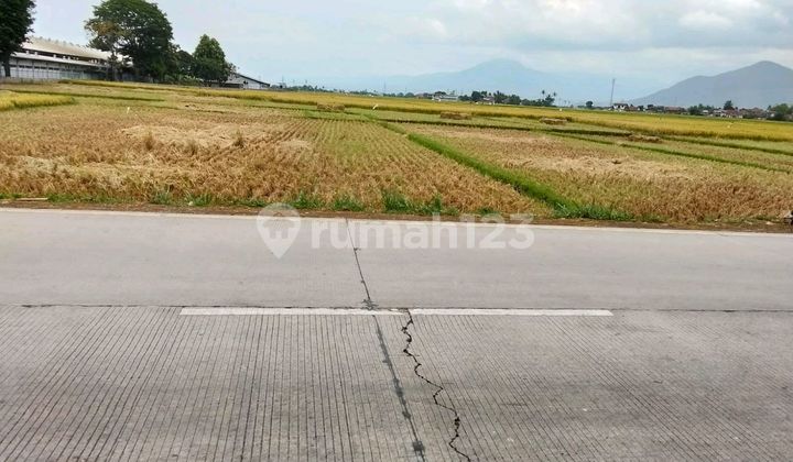 Dijual Tanah Zona Industri